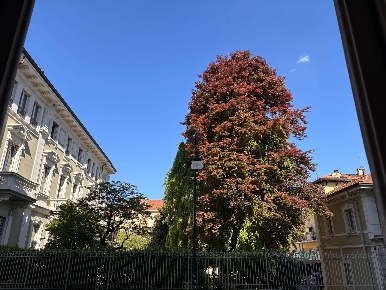 Foto Appartamento in Via Michele Schina, Torino in affitto