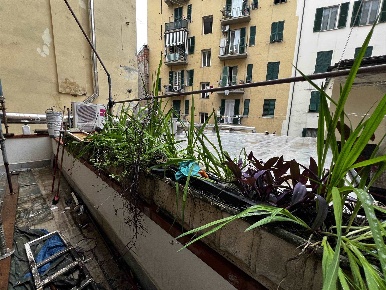 Foto Appartamento a La Spezia Valdellora - Antoniana di 90 m² con 5 locali