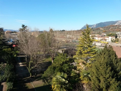 immagine annuncio 3 di 8