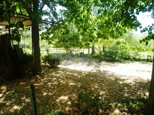 immagine annuncio 6 di 8