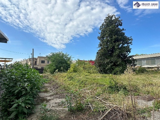 immagine annuncio 12 di 14