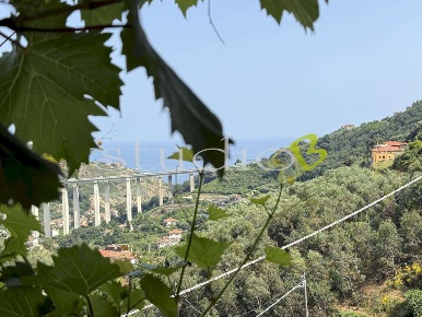 Foto Appartamento in Via Libero Alborno snc, Ventimiglia Latte, Ville
