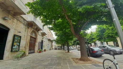 immagine annuncio 8 di 9