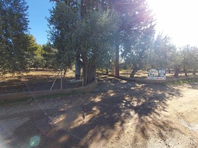 Foto Villa unifamiliare a Ruvo di Puglia di 50 m² con 1 locali in vendita