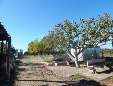 Foto Villa unifamiliare a Ruvo di Puglia di 55 m² con 1 locali in vendita