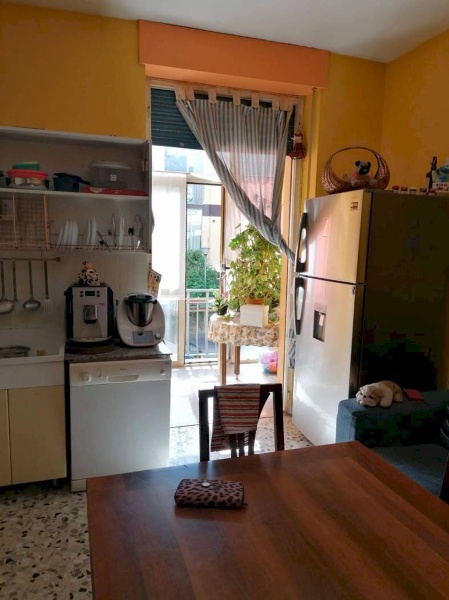 immagine annuncio 3 di 13