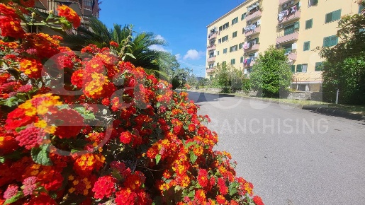 Foto Appartamento in Via Beccadelli 35, Napoli Bagnoli di 80 m² in vendita