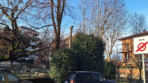 immagine annuncio 12 di 14