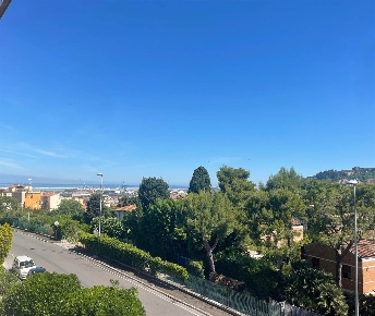 Foto Appartamento a Ancona in vendita