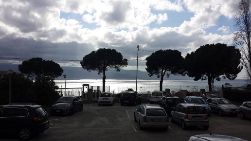 immagine annuncio 1 di 14