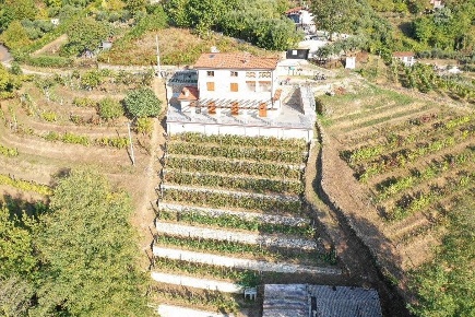 Foto Villa unifamiliare a Pietrasanta di 270 m² con 9 locali in vendita