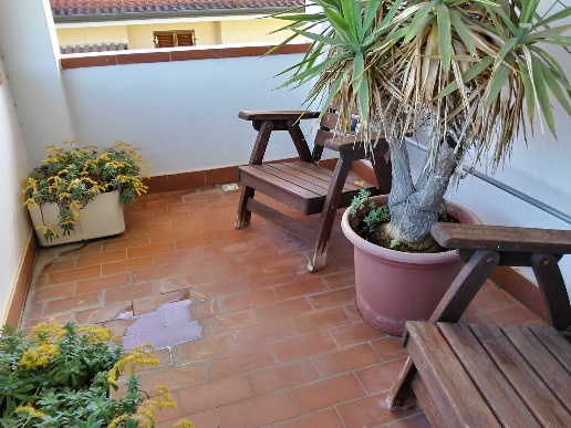 immagine annuncio 12 di 14