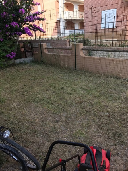 immagine annuncio 1 di 9