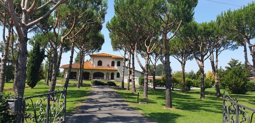 immagine annuncio 10 di 11