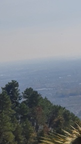 Foto Villa unifamiliare a Pietrasanta di 120 m² con 6 locali in vendita