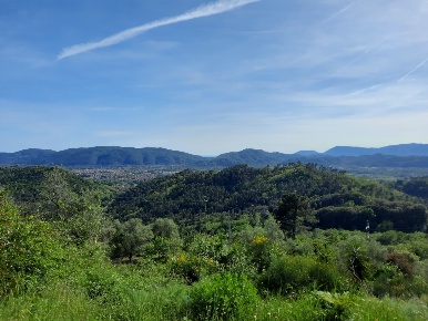 Foto Villa unifamiliare a Sarzana Centro di 170 m² con 14 locali in vendita