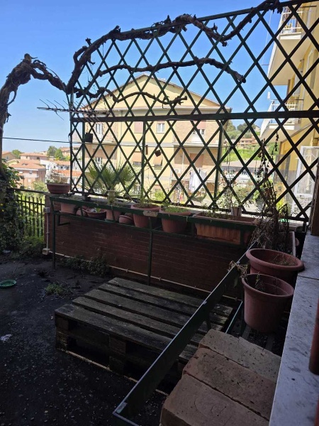 immagine annuncio 2 di 14