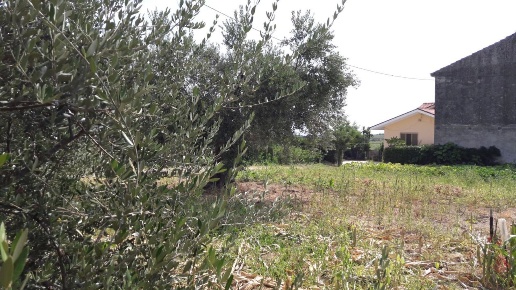immagine annuncio 1 di 2
