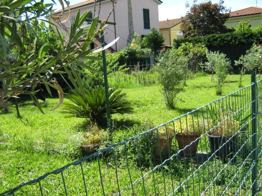 immagine annuncio 3 di 7