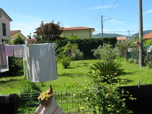 immagine annuncio 5 di 7