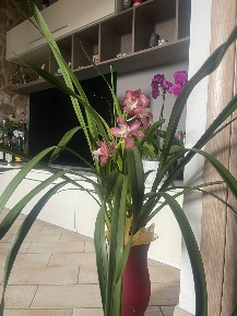 Foto Appartamento a Massarosa di 79 m² con 4 locali in vendita