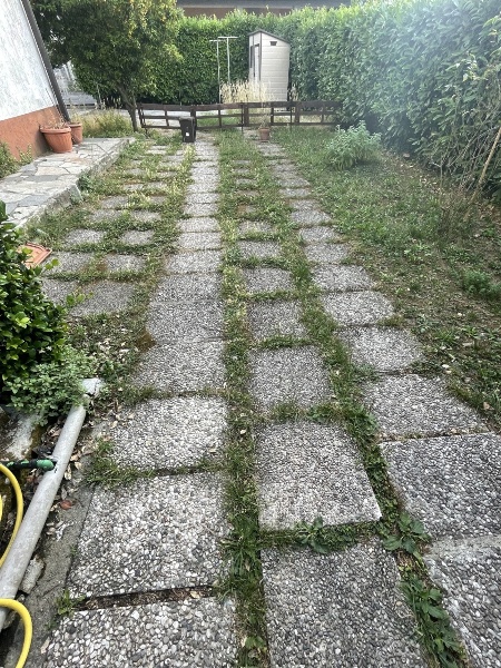 immagine annuncio 12 di 14