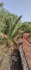 Foto Villa unifamiliare in Contrada Badalati, Biancavilla in vendita