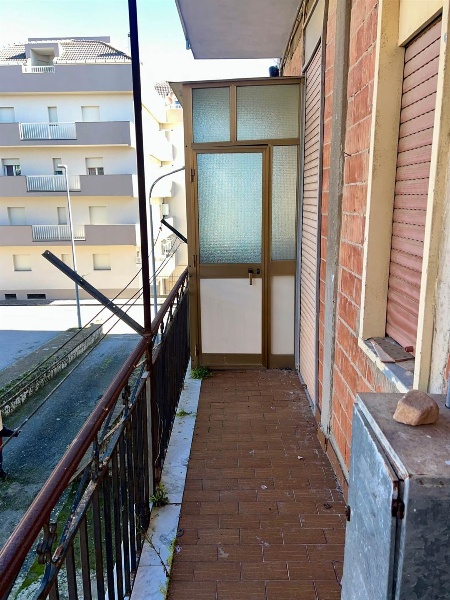 immagine annuncio 11 di 14