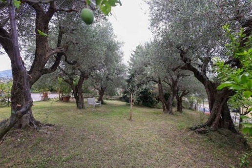 immagine annuncio 6 di 11