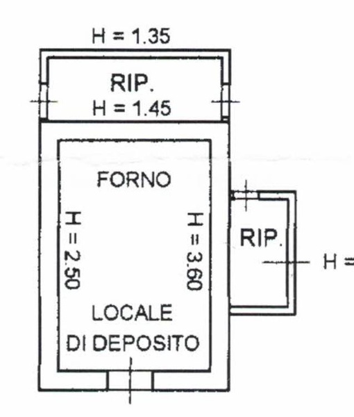 immagine annuncio 12 di 13