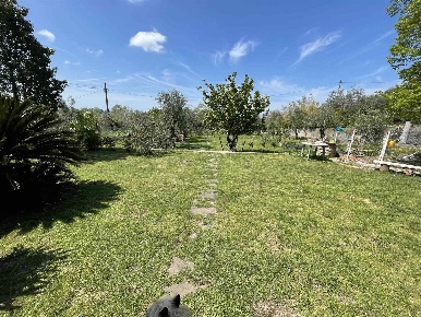 Foto Villa bifamiliare a Massarosa Massaciuccoli di 200 m² con 6 locali