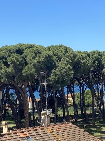 Foto Appartamento a Follonica Zona Nuova, Pratoranieri di 150 m² in vendita