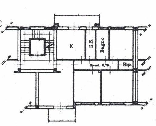 immagine annuncio 12 di 13