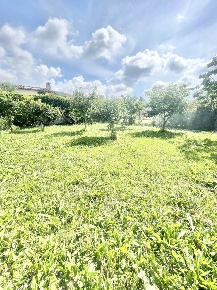 Foto Appartamento a Massarosa Pian del Quercione, Montramito di 70 m²