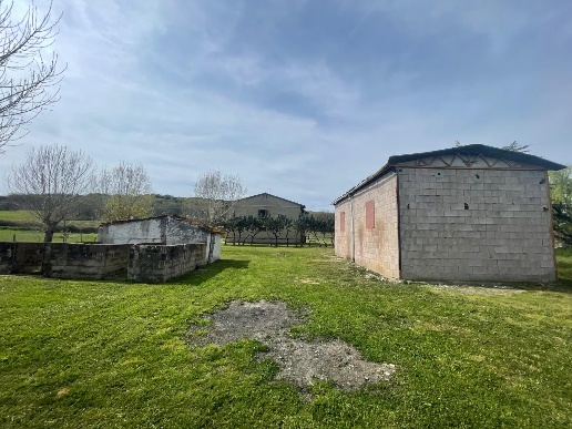 immagine annuncio 2 di 12