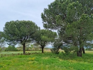 Foto Appartamento a Fucecchio in vendita