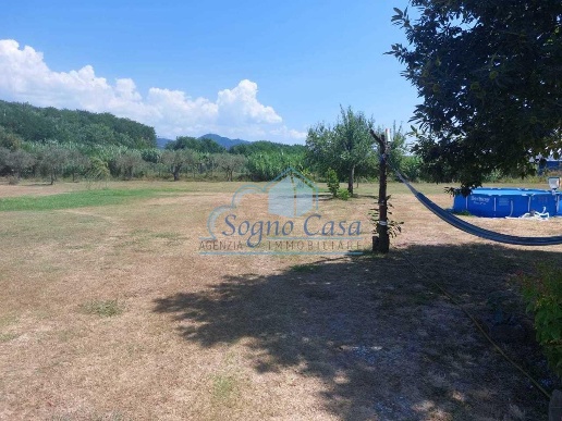 immagine annuncio 6 di 13