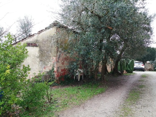 immagine annuncio 9 di 12