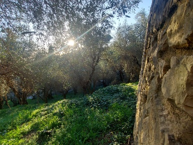 Foto Villa unifamiliare a Massarosa Pieve a Elici, Montigiano, Gualdo
