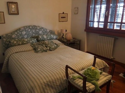 immagine annuncio 6 di 12
