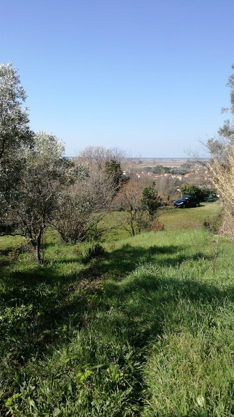 immagine annuncio 7 di 13