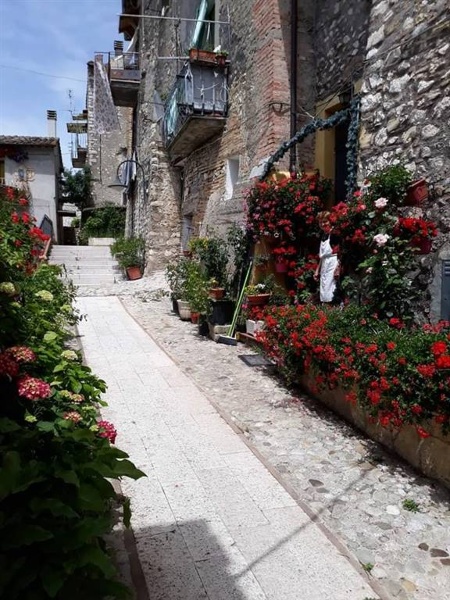 immagine annuncio 5 di 7