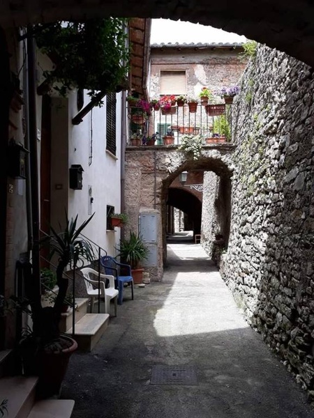 immagine annuncio 6 di 7