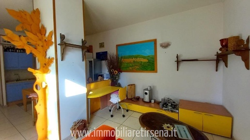 immagine annuncio 3 di 6