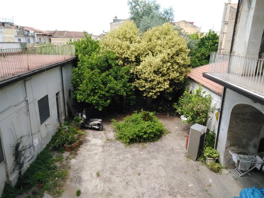 immagine annuncio 12 di 14