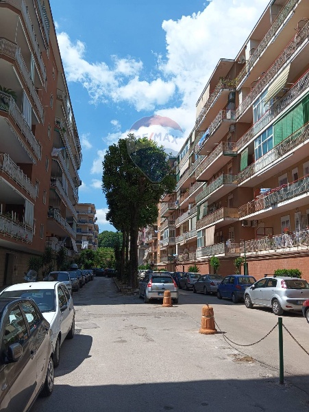 immagine annuncio 4 di 13