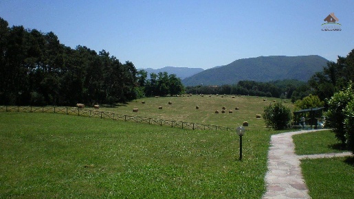 Foto Villa a schiera in via delle gavine 1545 1545, Lucca di 45 m²