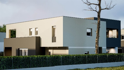 immagine annuncio 1 di 8