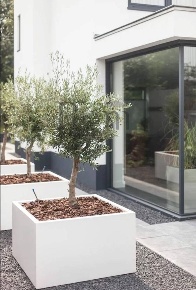 Foto Appartamento in Via Rota, Treviso Viale Luzzatti di 160 m² in vendita