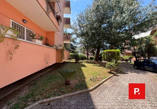 immagine annuncio 4 di 12